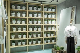 滬上文藝實(shí)驗(yàn)室揭牌 以文化經(jīng)紀(jì)人服務(wù)為引擎，開(kāi)啟文創(chuàng)產(chǎn)業(yè)跨界探索新篇章